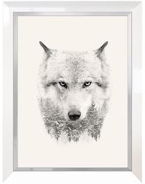 Foto paveikslas Wolf, 63 cm x 83 cm