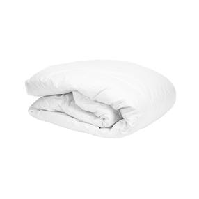 Sega Domoletti Natural Down WARM, 200 x 220 cm, balta krās.