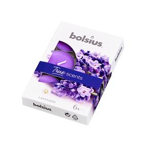 Žvakė, aromatinė/arbatinė Bolsius, 4 h, 6 vnt., Violetinė