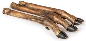 Gardums suņiem Laikas Gardums Roe leg