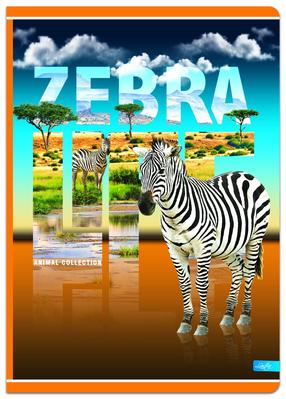Užrašų knygelė Lastva ANIMAL planet, A4, (spalva/dizainas parenkami atsitiktine tvarka)