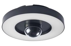 Āra sienas lampa Ledvance Smart+ WIFI, 22W, LED, IP44, tumši pelēka, 28 cm x 11.2 cm