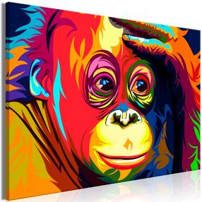 Reprodukcija Artgeist Colourful Orangutan MDF02, 30 cm x 20 cm