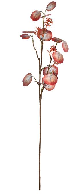 Mākslīgais zars Splendid, brūna krās./sarkana krās., 70 cm