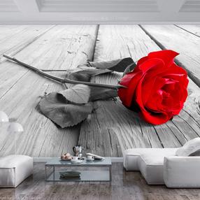 Fototapetas Artgeist Abandoned Rose 3XLFT1552, 245 cm x 350 cm