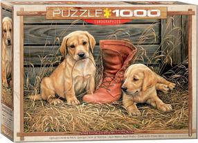 Пазл Eurographics Something old, Something New, 67.31 см x 48.9 см, 1000 шт., коричневатый цв.
