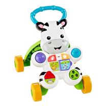 Vaikiškas stumdukas - vaikštynė Mattel Fisher Price, 46 cm, įvairių spalvų