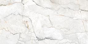 Plytelės, akmens masės Geotiles Sauvage PEARL 8429991765484, 60 cm x 120 cm, pilka sp.