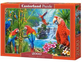 Dėlionė Castorland Parrot Meeting 200870, 68 cm x 92 cm, 2000 vnt., įvairių spalvų