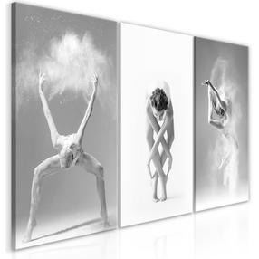 Reprodukcija Artgeist Ballet N8284, 60 cm x 30 cm