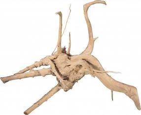 Akvārija dekorācija Terra Natura Bog Root, brūna krās., 15 cm
