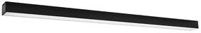 Šviestuvas lubų Thoro Lighting Pinne 118 TH.081, LED, 4000 °K, 1 x 28 W, juoda sp. / juoda sp.