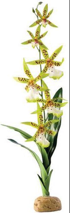 Akvariumo dekoracija Hagen Orchid 012852, geltona sp./žalia sp.