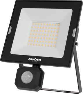 Prožektorius be judesio daviklio, tvirtinamas prie sienos Rebel, 85 - 4250 lm, 6500 °K, IP44, juoda sp.