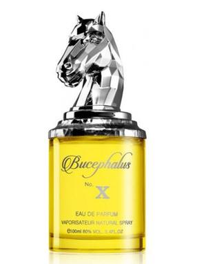 Parfüümvesi Armaf Bucephalus X, 100 ml