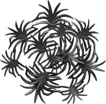 Sienos dekoracija 425, 70 cm x 70 cm