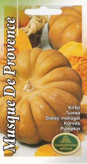 Sēklas Kurzemes sēklas, ķirbis Musque De Provence, 1 g