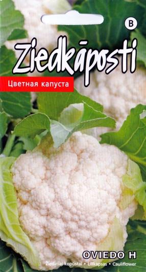 Sēklas Kurzemes sēklas, ziedkāposti OVIEDO, 0.1 g