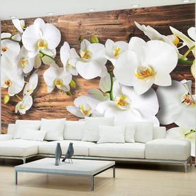 Fototapetas Artgeist Forest Orchid - Natural White Flowers On A Background Of Old Dark Wood XXLNEW010222, 210 cm x 300 cm