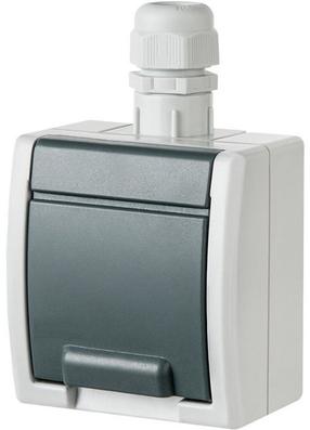 Pistikupesa Elektro-Plast Aquant 1244-65, maandusega, IP65, hall v.