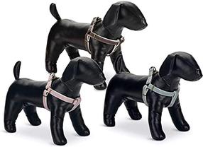Petnešos šunims Beeztees Harness, mėtinė (mint) sp., 460 - 750 mm x 20 mm, L