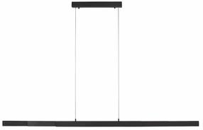 Lampa griesti Paul Neuhaus Luzi, LED, 3000 °K, 1 x 45 W, balta krās. / antracīta krās.