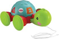 Traukiamas žaislas, vėžlys Mattel Fisher Price, 10 cm