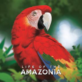 Lauamäng Bad Comet Life Of The Amazonia, EN