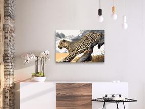 Tapymas pagal skaičius Artgeist Cheetah MA_0094, 60 x 40 cm