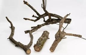 Декорация аквариума Terra Natura Oak Branch, коричневый цв., 60 см