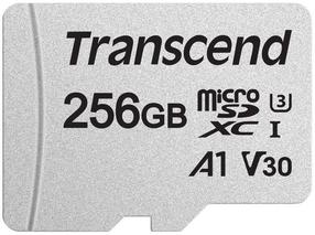 Atminties kortelė Transcend, 256 MB