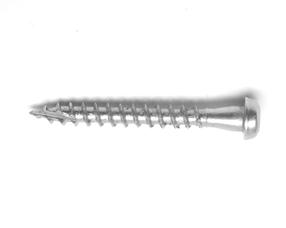 Puidukruvi, keeratavad puu sisse Arras, 5 x 40 mm, 250 tk