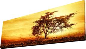 Sienos dekoracija Wallity, 3090ýact-27, 90 cm x 30 cm