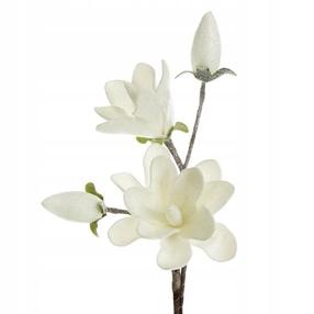 Kunstlill, magnoolia Flore 667, valge v., 59 cm x 17 cm