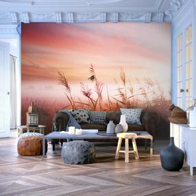 Fototapetas Artgeist Morning Meadow XXLFTNT1386SAM, 231 cm x 294 cm