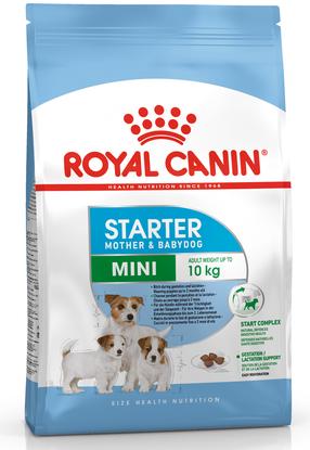 Sausas šunų maistas Royal Canin Mini Starter, vištiena, 1 kg