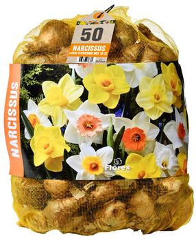 Svogūninės gėlės narcizas LARGE FLOWERING MIX, 10 - 12 mm, 50 vnt.
