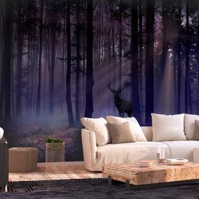 Фотообои Artgeist Mystical Forest XLFT1947, 175 см x 250 см