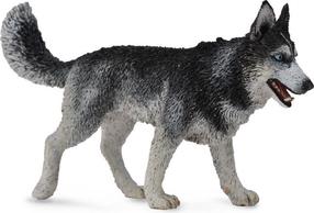 Фигурка-игрушка Collecta Siberian Husky 88707, 10.5 см, белый цв./серый цв.