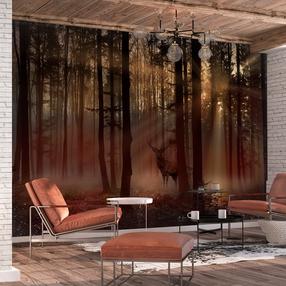 Фотообои Artgeist Mystical Forest MFT1946, 105 см x 150 см