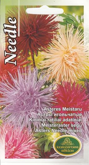 Sēklas Kurzemes sēklas asteres Needle, 0.5 g