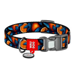 Kaelarihm koertele Waudog Orange QR, mitmevärviline, 280 - 400 mm x 20 mm, M