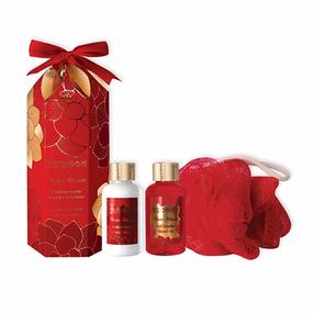 Ķermeņa mazgāšanas komplekts ParisAx Winter Blossom Magnolia, 100 ml, 3 gab.