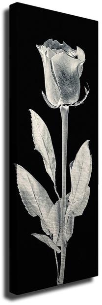Reprodukcija Wallity PC161, 80 cm x 30 cm