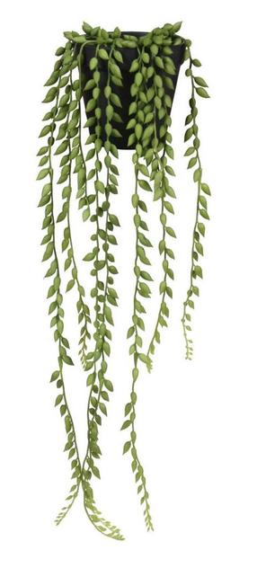 Kunsttaim potis Splendid Senecio, roheline v., 52 cm