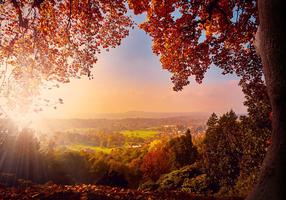 Fototapete Artgeist Autumn Delight - Sunny Landscape With Countryside Surrounded By Trees And Fields, 105 cm x 150 cm