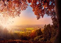 Fototapetas Artgeist Autumn Delight - Sunny Landscape With Countryside Surrounded By Trees And Fields, 105 cm x 150 cm