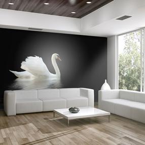 Fototapetas Artgeist Swan (Black And White) XLFTNT0112SAM, 193 cm x 245 cm