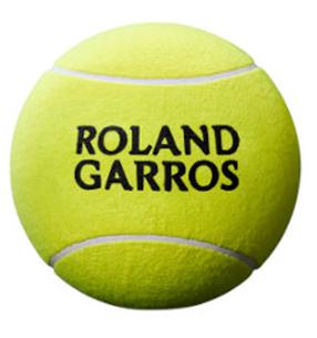 Teniso kamuoliukas Wilson Roland Garros, geltona sp.