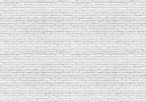 Fototapetas Artgeist Gray Brick 4XLFT1885, 280 cm x 280 cm